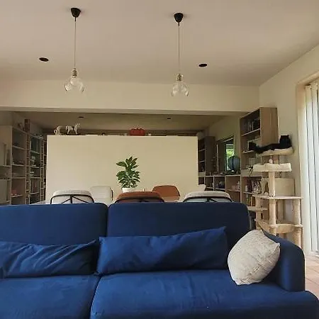 Maison D'architecte Avec Foret Et Immense Jardin Appartement Saintes