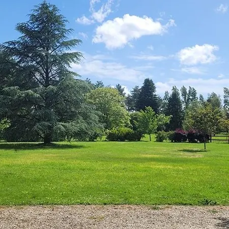 Maison D'architecte Avec Foret Et Immense Jardin