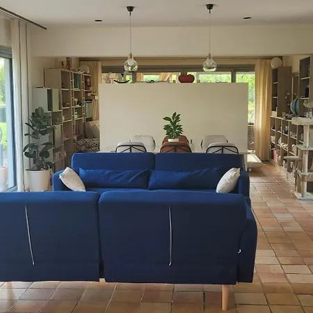 Maison D'architecte Avec Foret Et Immense Jardin Saintes