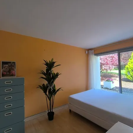 Maison D'architecte Avec Foret Et Immense Jardin Daire
