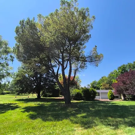 Lägenhet Maison D'architecte Avec Foret Et Immense Jardin Saintes