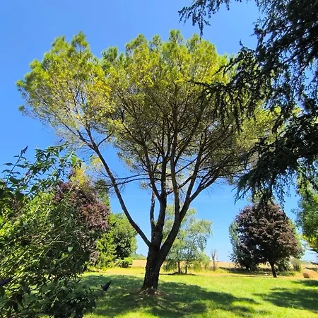 Daire Maison D'architecte Avec Foret Et Immense Jardin *